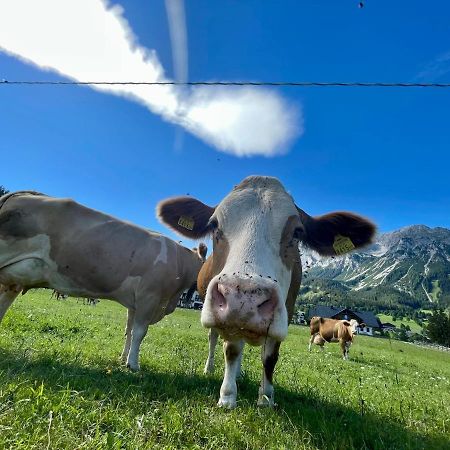 Pension Moslehnerhof Ramsau am Dachstein Esterno foto