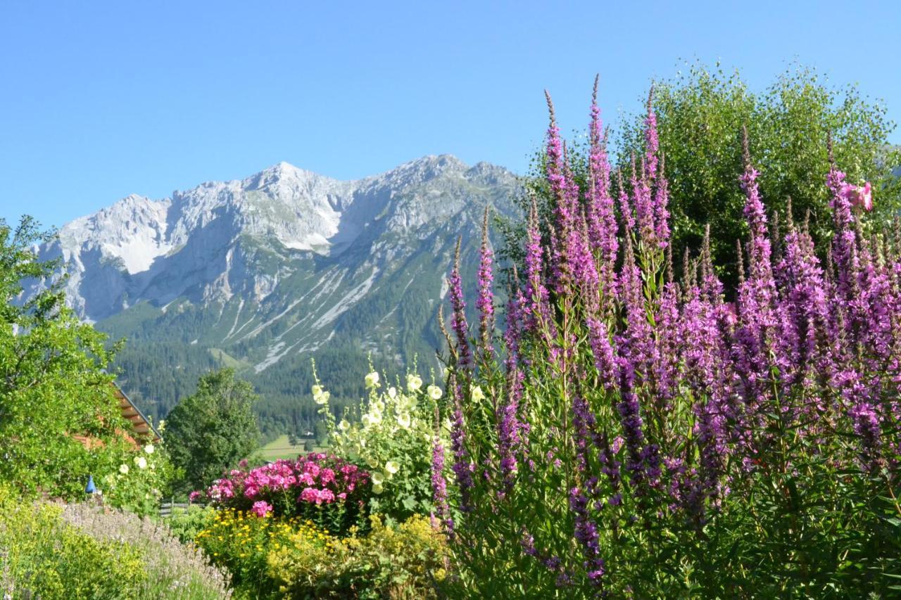 Pension Moslehnerhof Ramsau am Dachstein Esterno foto