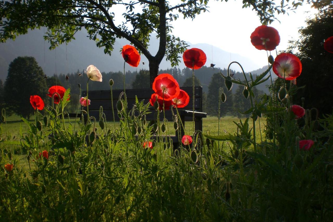 Pension Moslehnerhof Ramsau am Dachstein Esterno foto