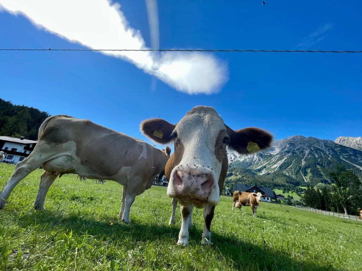 Pension Moslehnerhof Ramsau am Dachstein Esterno foto