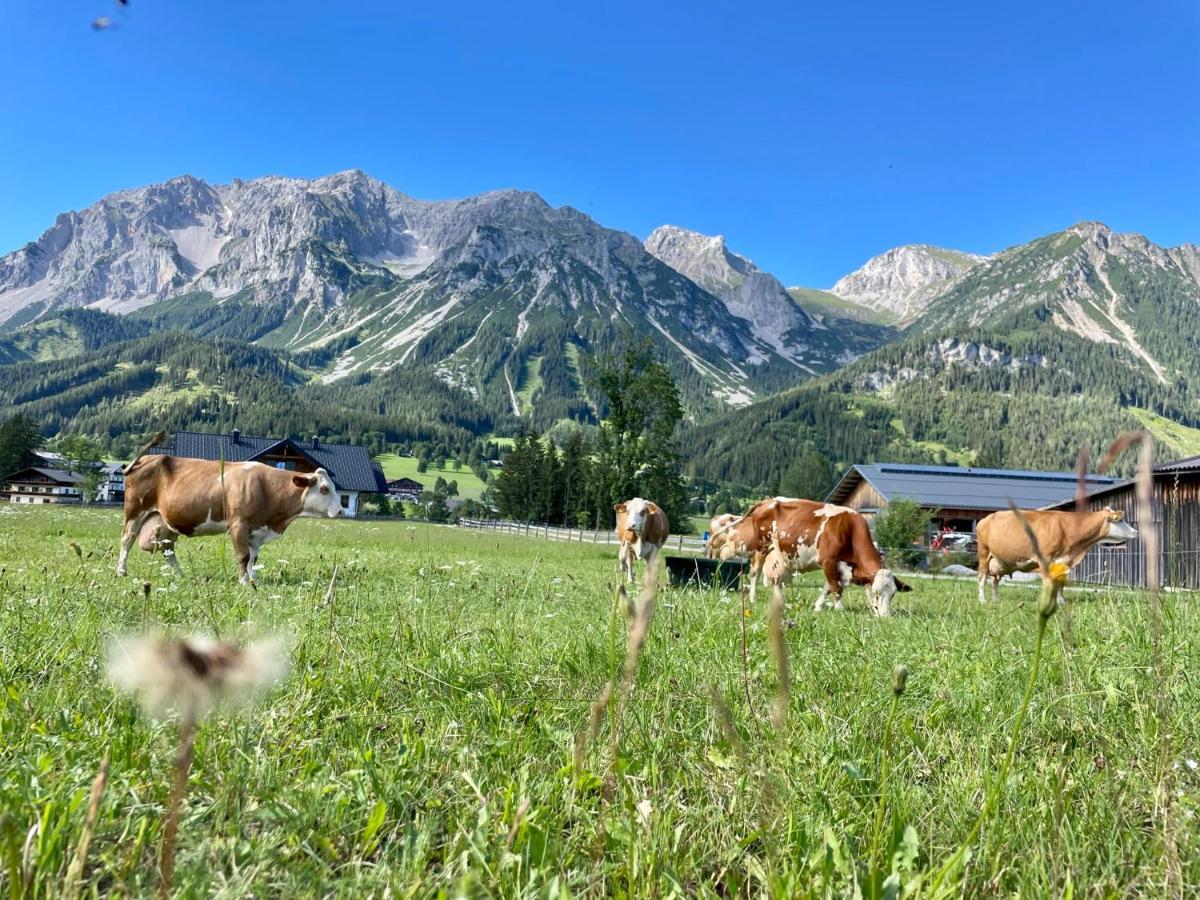 Pension Moslehnerhof Ramsau am Dachstein Esterno foto